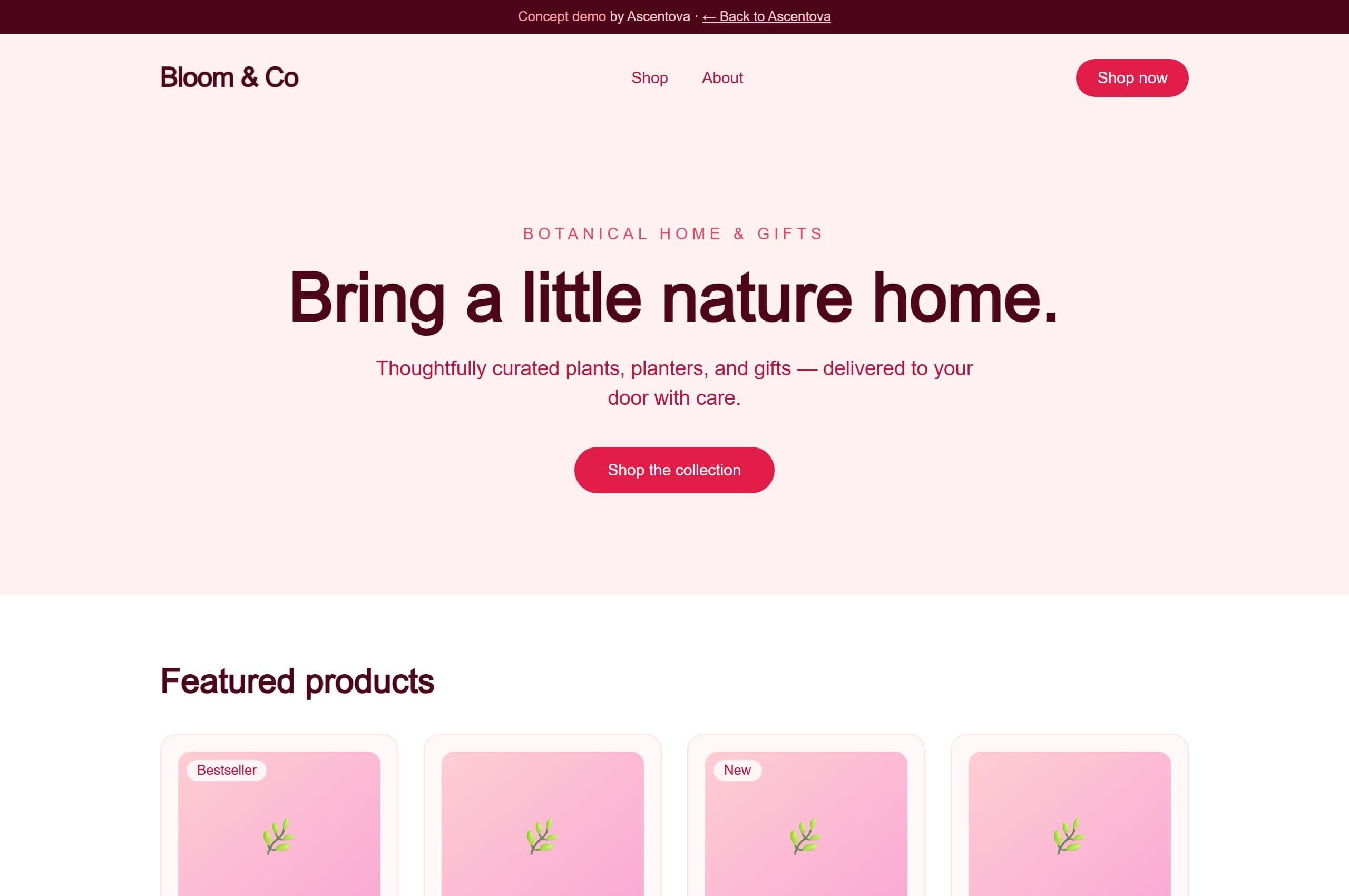 Bloom & Co demo website